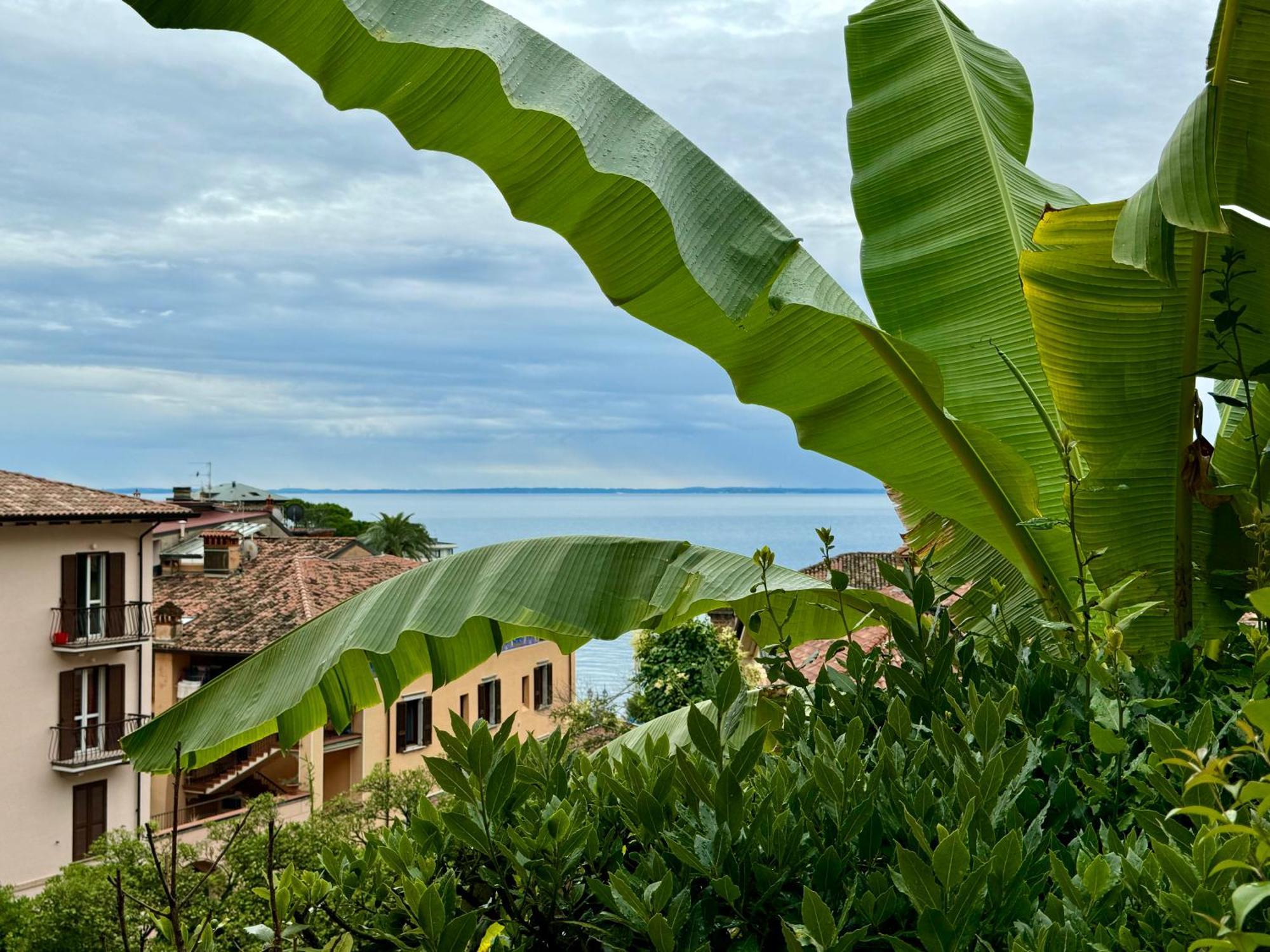 טוסקולנו מדרנו Casa Dolce Vita, Seeblick מראה חיצוני תמונה